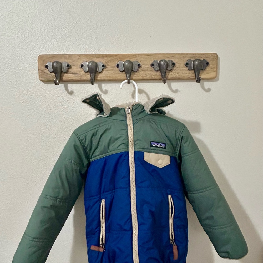 Patagonia Green and Blue Jacket